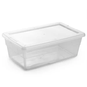 Caja Zapatera Chica Plástico Arplasa
